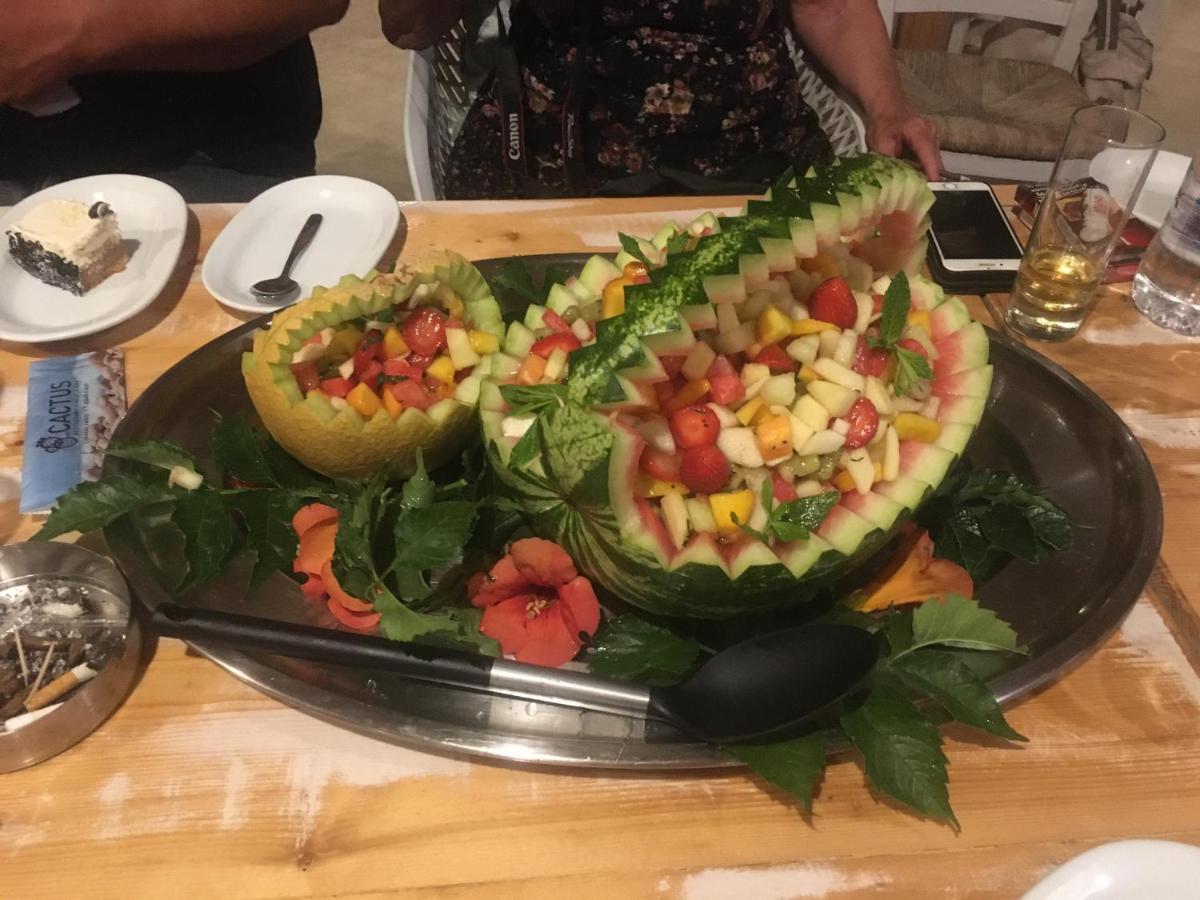 Pensjonat Cactus Paros Logaras